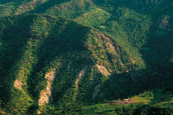 طبیعت بخش پاپی