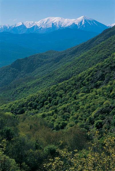 طبیعت بخش پاپی