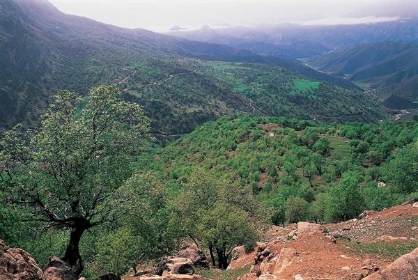 طبیعت بخش پاپی