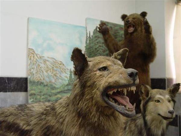 Khoramabad Natural science museum
